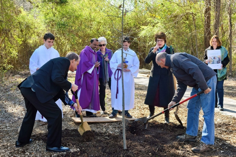 Laudato Si planting