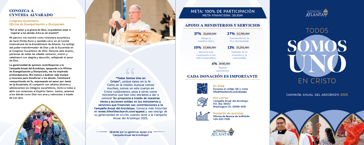 AAA 25 Spanish Brochure