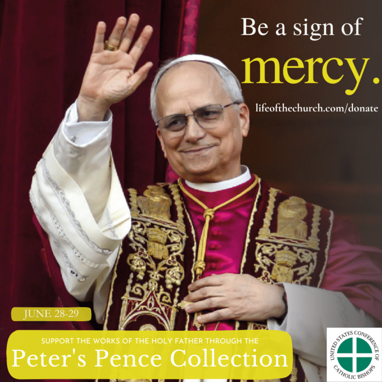 Pope Leo XIV waving in new vestments