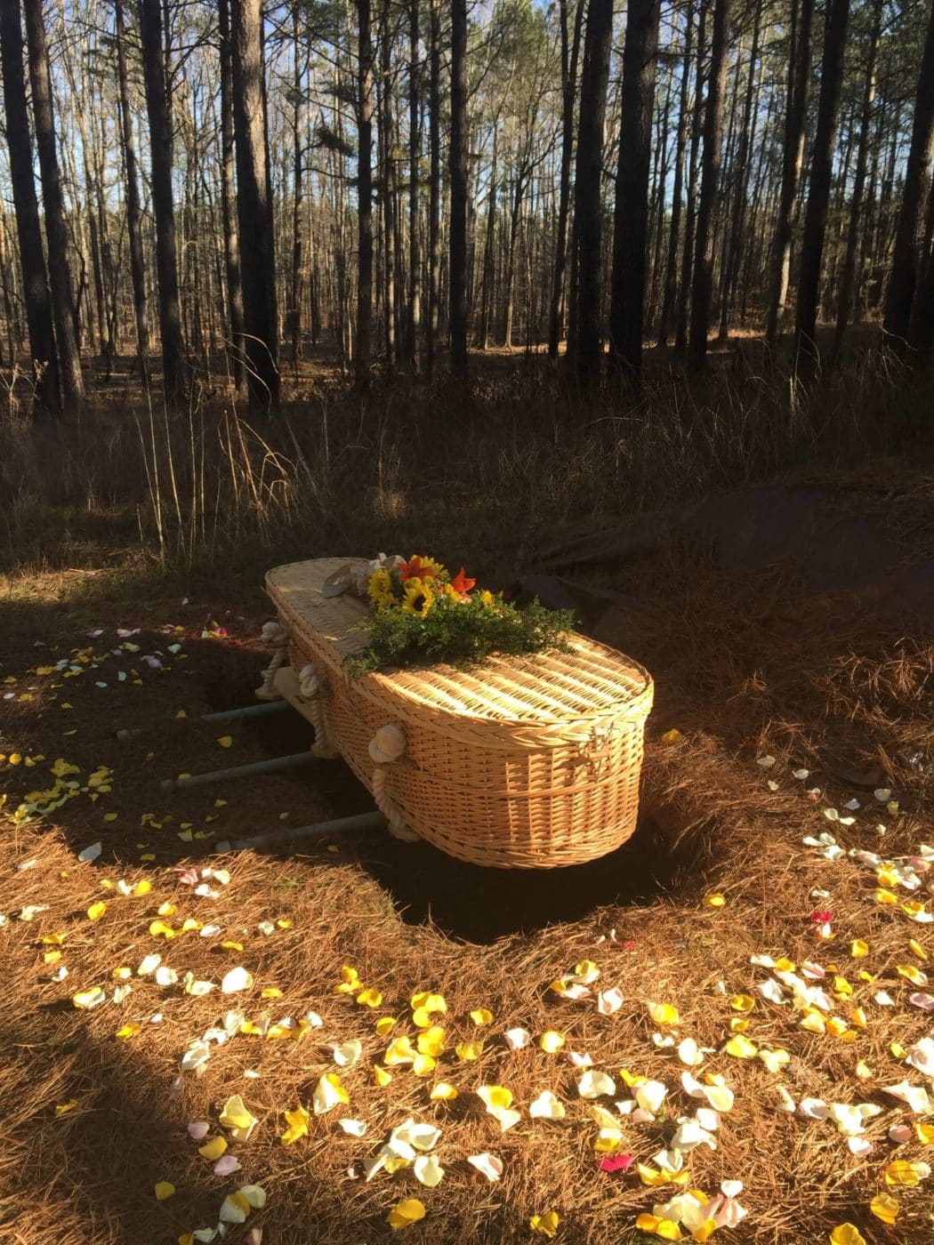 A Woven Casket Made Of Natural Materials