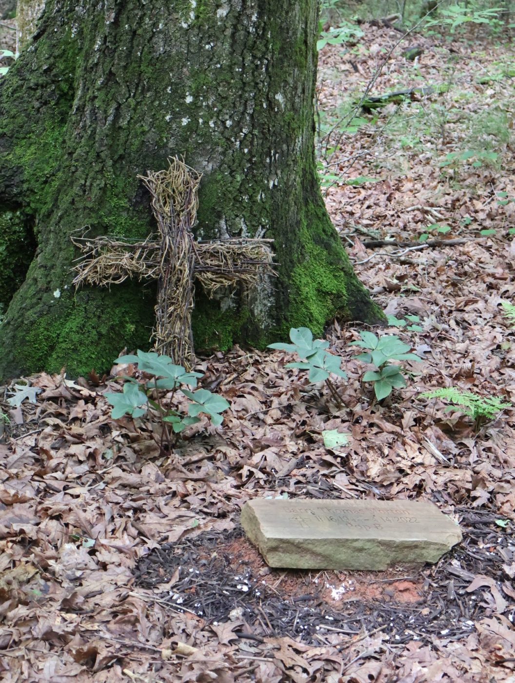 Grave Site With Natural Stone Marker And Wooden Cross