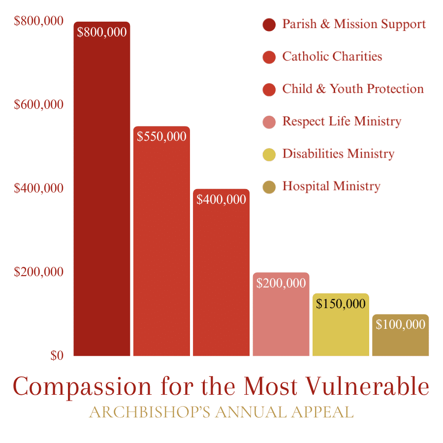 Bar chart showing Archbishop's Annual Appeal financial allocations for the Compassion for the Most Vulnerable category