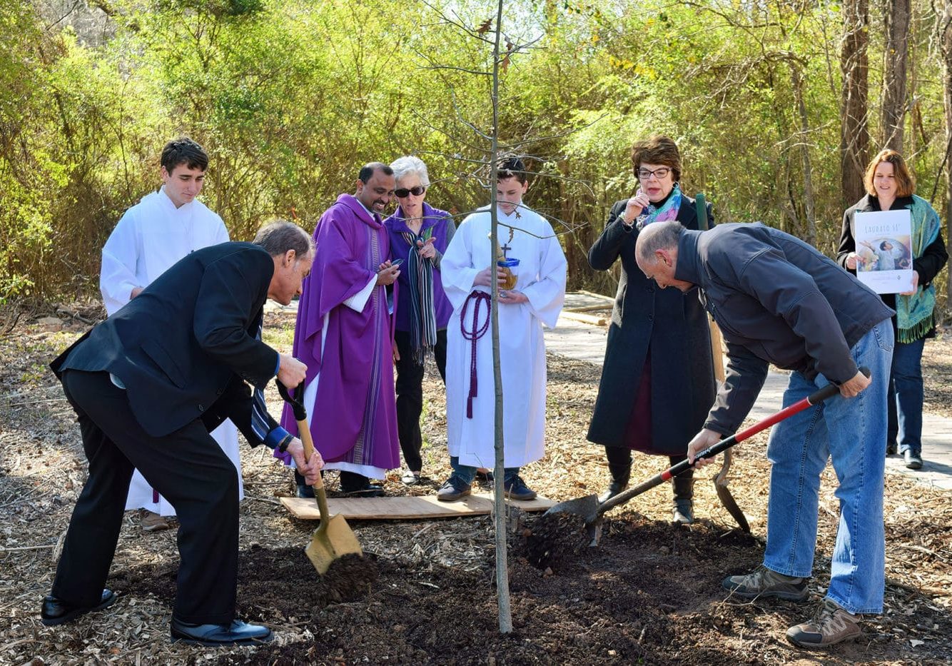 Laudato Si planting